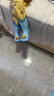 B.Duck小黄鸭童鞋儿童雨鞋时尚防水雨靴男女童宝宝水鞋小学生5953蓝色28 实拍图