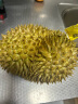 京鲜生 泰国进口金枕头榴莲 1.5-2kg 1个装 新鲜水果 实拍图