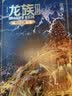 龙族 十周年纪念版 （套装共2册） 实拍图