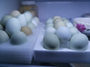 我老家鲜谷物喂养新鲜散养绿壳蛋乌鸡蛋 40枚 实拍图