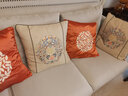 米乐 轻奢刺绣抱枕靠垫布艺沙发靠枕床头办公室护腰靠背汽车腰枕 橘红(圆圈花刺绣) 50cm*50cm 枕套 实拍图