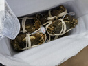 【活蟹】湖塘煙雨 阳澄湖大闸蟹鲜活螃蟹生鲜礼盒现货海鲜全母蟹3.5两10只源头直发 实拍图