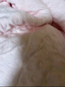 童泰婴儿衣服新生儿连体衣秋冬季夹棉保暖宝宝衣服纯棉蝴蝶哈衣2件装 粉色小兔 66cm 实拍图
