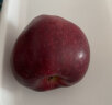 京鲜生 甘肃天水花牛苹果 蛇果 4粒 单果160g以上  生鲜水果 晒单实拍图