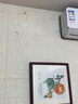 紫腾随轩白菜装饰画餐厅挂画新中式客厅沙发背景墙画饭厅墙面壁画 百财 40*40cm红木色实木框 实拍图