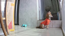 喵先生宠物狗狗衣服小型犬泰迪衣服冬季猫咪狗衣服小狗衣服透气两脚卫衣 平安暴富款S码建议 （3-5斤） 实拍图
