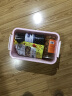 爱丽思（IRIS） 手提式小物塑料收纳箱整理储物箱首饰盒化妆品收纳盒桌面收纳箱 8L（32.8*22*17cm）恐龙 实拍图