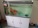 闽江（minjiang）鱼缸水族箱家用屏风生态造景中大型金龙鱼缸客厅免换水鱼缸 纯洁白色（养鱼礼包+造景礼包+升级过滤） 长120.6*宽36.7*高139(缸体+底柜) 实拍图