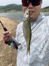 ABU GARCIA 阿布BMAX马口杆套装远投马口竿单杆微物路亚竿单竿碳素钓鱼竿 1.83m 【枪柄】UL调单竿 实拍图