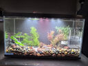 喜高超白玻璃鱼缸智能鱼缸免换水小型客厅水族箱一体式过滤氧气鱼缸 黑色-鱼缸+加热棒 485*225*283mm 实拍图