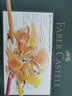 辉柏嘉（Faber-castell）绿盒油性彩铅36色专业手绘艺术家大师级绘画绿铁盒套装110036美术节日开学礼物【梵高认证】 实拍图