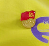 易利丰（elifo） 镀金标准党徽胸章 党员新徽章 党员徽章 别针款5枚 实拍图