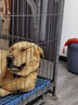 华元宠具（hoopet）宠物航空箱狗狗飞机托运箱猫咪外出猫包小型犬国航车载狗笼大型犬 国航款5号89*60*74cm (铁窗+轮) 实拍图