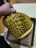 采缇（CAITI）正宗泰国金枕头榴莲新鲜榴莲水果巴掌榴莲盲盒整个当季鲜果  2-3斤榴莲(一天一百个) 实拍图