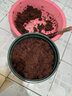 九千谷椰砖营养土1个装通用型椰土壤椰糠粗椰壳种花种菜650g/块3521 实拍图