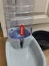 嬉皮狗猫咪饮水机宠物自动喂食器狗狗饮水器喝水神器流动不插电用品大全 【升级款】灰色饮水器-3.8L 无规格 实拍图
