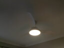 美的（Midea）吊扇灯风扇灯客厅餐厅卧室灯带风扇开叶扇叶吊杆变频电扇灯一体 三叶|48寸36W照明|全光谱 晒单实拍图
