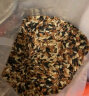 十月稻田 三色糙米 2.5kg (黑米 红米 糙米 五谷杂粮 粗粮 大米伴侣 真空) 晒单实拍图