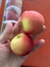 嗯嗯乐新西兰试管火箭小苹果Rockit Apple新鲜进口苹果水果 1筒350g尝鲜装 实拍图