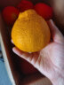 京鲜生 四川丑橘不知火 优级果3kg装 单果180g以上 新鲜水果 实拍图