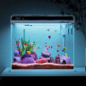森森 超白玻璃智能一体小鱼缸HE-480款 带水泵LED变色灯水温显示 晒单实拍图