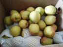 京鲜生 新疆库尔勒香梨 2.5kg 一级 单果100g-120g  生鲜水果 实拍图