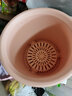 爱丽思（IRIS）花瓶彩色Deepot圆形月季铁线莲花盆园艺批发树脂花盆塑料盆 6号皮肤粉【带托 实拍图