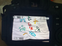 佳能/Canon 60D 70D 80D 77D 90D 二手单反相机 半画幅中端级数码相机 60D 单机 99新 实拍图