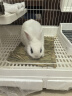 君吻兔兔草垫兔子脚垫龙猫荷兰猪手工草编兔子龙猫仓鼠笼子脚垫草窝垫 大号脚垫/草垫 2片 晒单实拍图