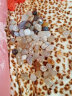 朴彩（PUCAI）南京雨花石原石天然石子鱼缸石头花盆彩色石子玛瑙鹅卵石 海洋玉髓2-3cm1斤约30颗A 实拍图