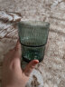 乐唯诗（LOVWISH）玻璃杯高颜值水杯透明玻璃牛奶杯带把ins风奶茶杯早餐杯茶杯 墨绿竹节杯-380ml1只 实拍图
