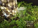 室外电箱防水户外防雨回路防水配电箱开关盒小型空开盒工厂用监控箱室外家用照明控制配电箱电表箱盒水泵工程 20*30*15厘米防雨竖箱浅灰无字 实拍图