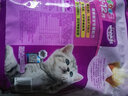 伟嘉猫粮成猫大包装英短猫咪蓝猫海洋鱼味全价实惠营养通用猫干粮 吞拿鱼三文鱼味1.2kg【幼猫】 实拍图