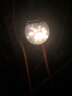 点点（Diandian） 太阳能庭院灯家用裂纹灯户外花园别墅装饰玻璃挂灯树灯小夜灯 太阳能星星灯2只装 实拍图