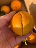 良知农哥【顺丰/JD】【地标认证】正宗德庆贡柑 皇帝柑 新鲜水果 带箱 5斤礼盒大果丨4-5个/斤 实拍图