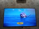 儿童幼儿英语启蒙动画片U盘零基础英语语感启蒙知识动画片MP4视频 主图所展示的全部内容 实拍图