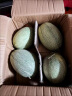 西州蜜瓜哈密瓜 2粒装 单果1.25kg以上 甜瓜 新鲜水果 实拍图