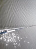 天元浪尖巨物鱼竿钓鱼竿大物手竿湖库巨物竿台钓竿渔具 浪尖巨物7.2米 实拍图