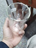 翼柏嘉双层隔热玻璃杯子 家用无盖喝水杯子泡茶杯咖啡杯客厅水杯6只套装 【水壶】+【杯六支】+杯架+大盘 实拍图