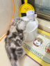 喵享家猫咪智能陶瓷无线饮水机续航感应饮水器宠物喝水碗猫用品白应急款 晒单实拍图