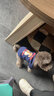 茨格曼 狗狗衣服冬天加绒小型犬宠物泰迪猫衣服保暖【布娃娃卫衣M号】 实拍图