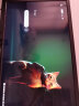 索尼（SONY） PlayStation5 游戏软件 PS5游戏 迷途猫 Stray 迷失猫 中文 现货 晒单实拍图