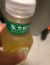 农夫山泉 东方树叶茉莉花茶900ml*12瓶 0糖0脂0卡无糖饮料茶饮料 整箱 实拍图