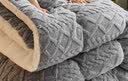 南极人羊羔绒被子加厚保暖空调被200x230cm双人秋冬被8斤秋季被芯棉被 实拍图