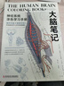 大脑笔记 神经系统涂色学习手册 重现解剖学教授经典课堂 脑神经科学版秘密花园 后浪正版 实拍图