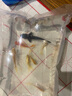 AIPHAROW纯种黑色龙凤锦鲤长尾锦鲤活体观赏鱼黄金锦鲤白金鱼淡水蝴蝶鲤鱼 黄金锦鲤4-5厘米2条 实拍图