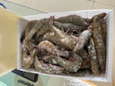 颐晟泰 虾 青岛大虾鲜活海捕虾类 基围虾生鲜青虾白虾海虾海鲜水产 盐冻 15-17cm 1.65kg(净重) 实拍图