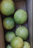 百香果 钦蜜9号黄金百香果 新鲜水果 茶饮水果原料 西番莲 鸡蛋果 10枚装 【个小不推荐】单果30-45g 实拍图