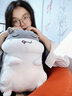 可爱胖仓鼠抱枕公仔布娃娃玩偶毛绒玩具老鼠公仔睡觉靠枕送女生情人节生日礼物 灰馋嘴 40厘米【送玫瑰花】 实拍图