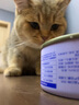 海洋之星 宠物猫狗零食即食胶原浓汤包幼猫狗狗零食湿粮罐头营养品补水 美毛护肤 鱼肉汤 100g 实拍图
